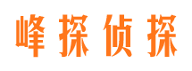 寻甸私人侦探